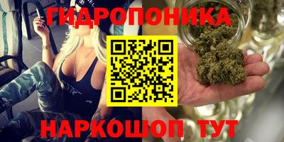 твердый Дубна