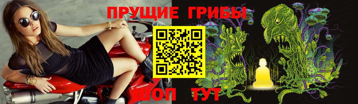 Новороссийск  Галлюциногенные грибы Cubensis  Псилоцибиновые грибы Psilocybe  хочу   Вход с VPN 